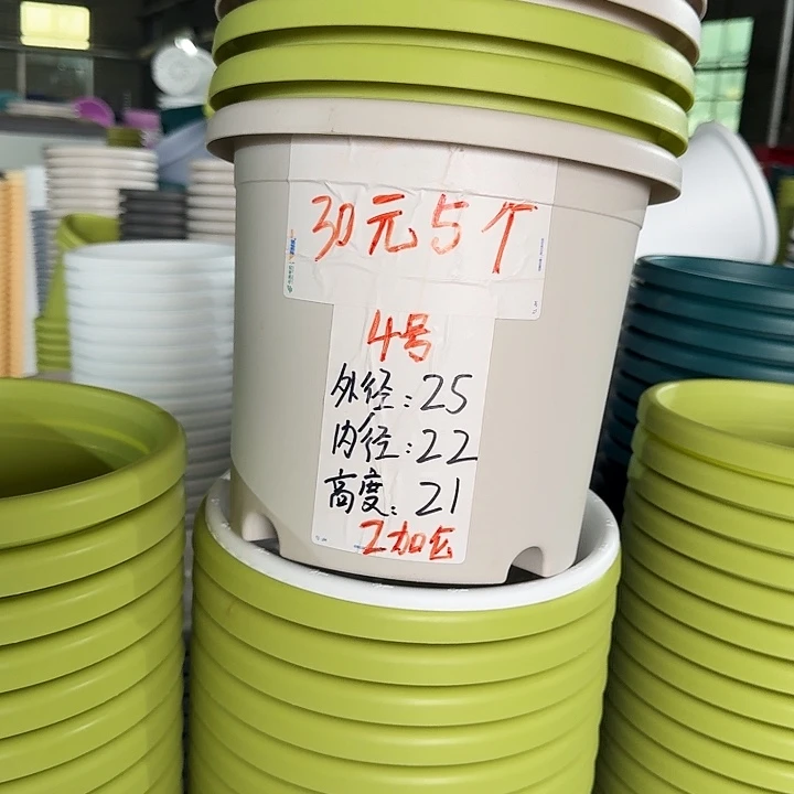 四季4#口径25灰白5个 无托