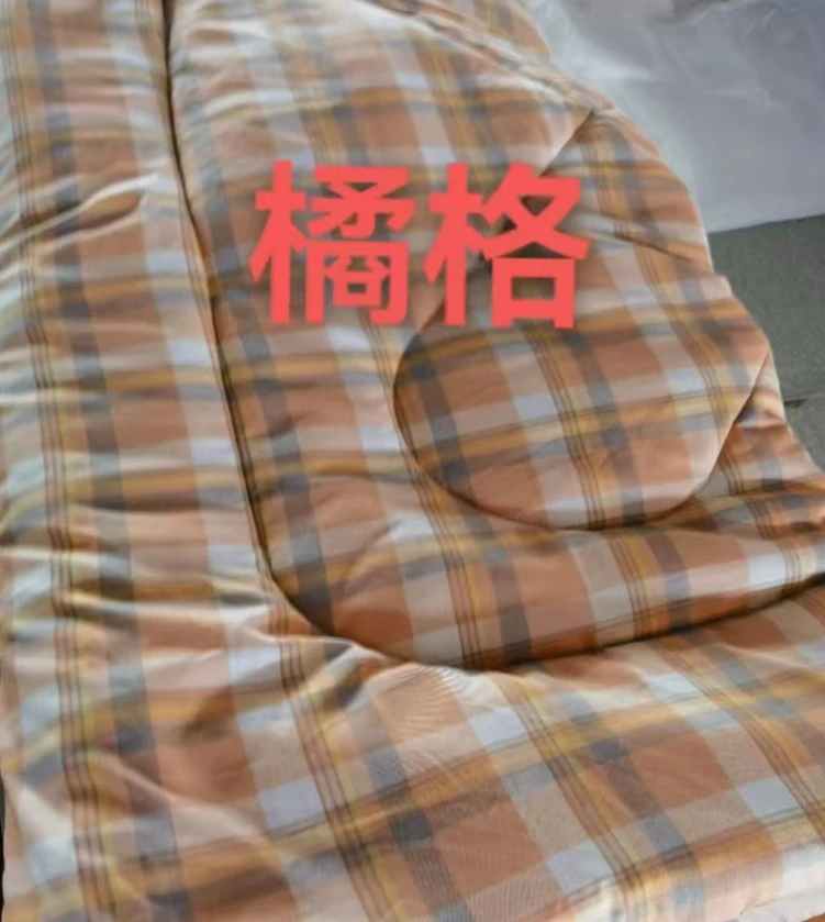 20 单人水洗棉大豆被 CH