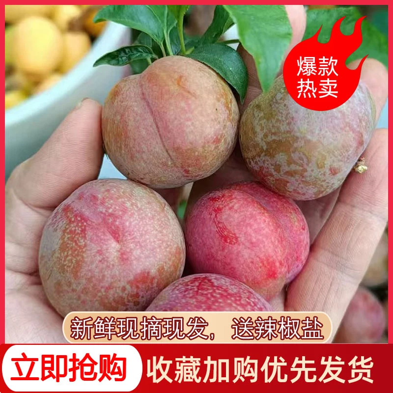 《顺丰到家》正宗三华李红心李子酸甜爽口当季新鲜孕妇水果