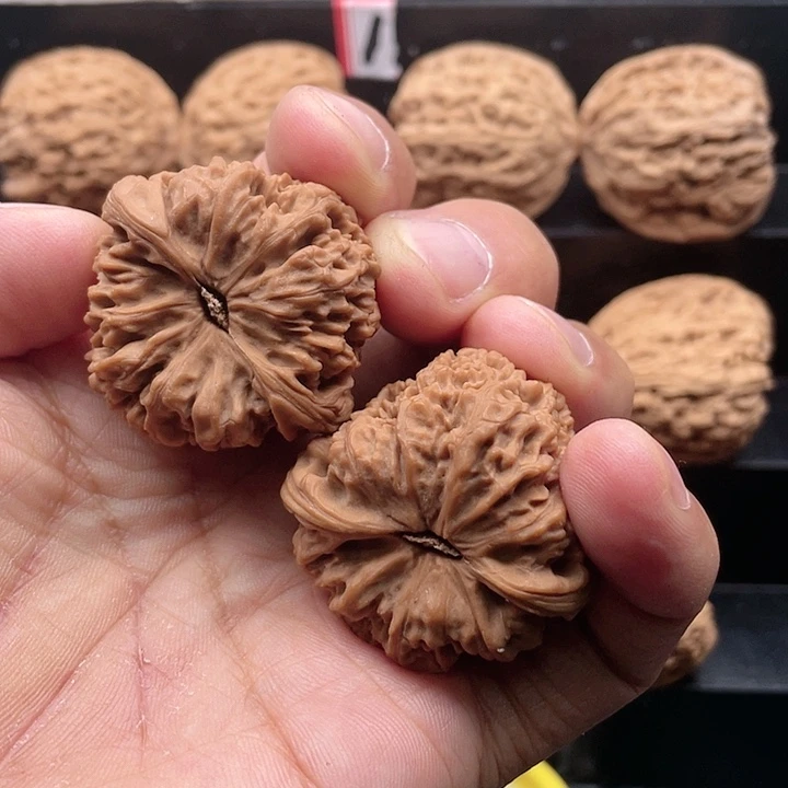 核桃手串/手链胶*人南疆石核桃