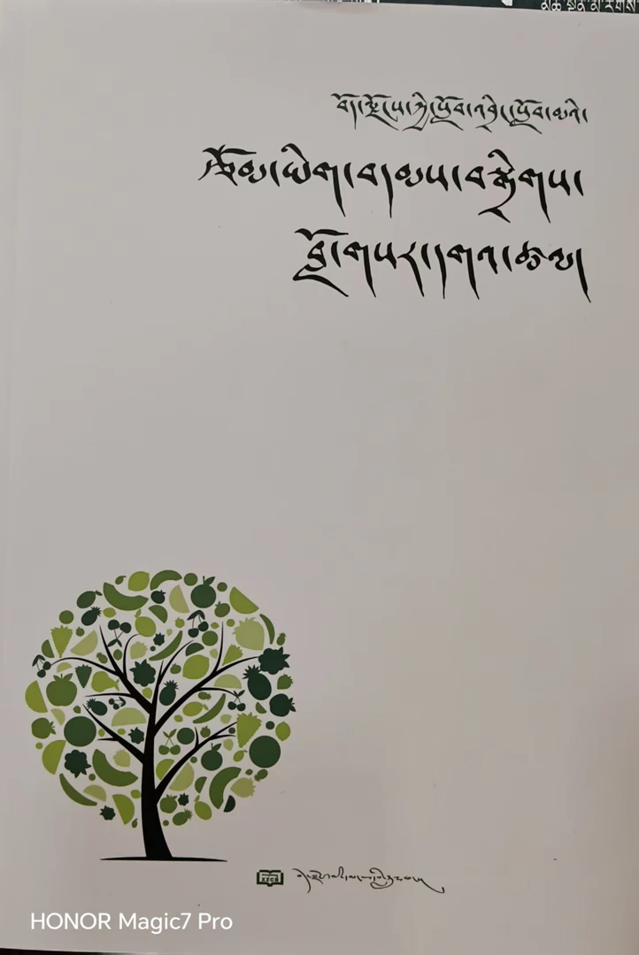 西藏中学生作文选