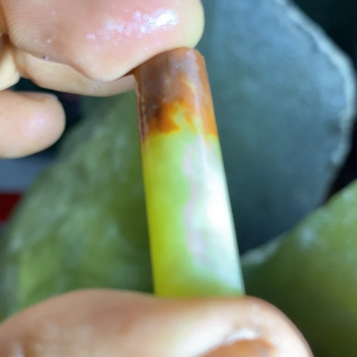 蛇纹石玉珠宝岫玉原石未镶嵌