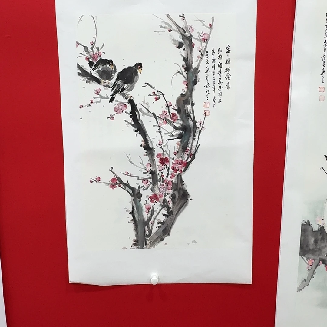 国画新号开播福利多多