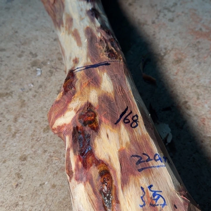 海***川木海南，海北飞灰尘。甘受商于仪诳楚