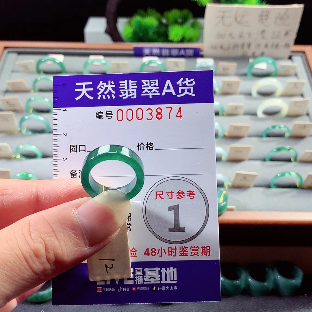 翡翠戒指未镶嵌鸺*12号