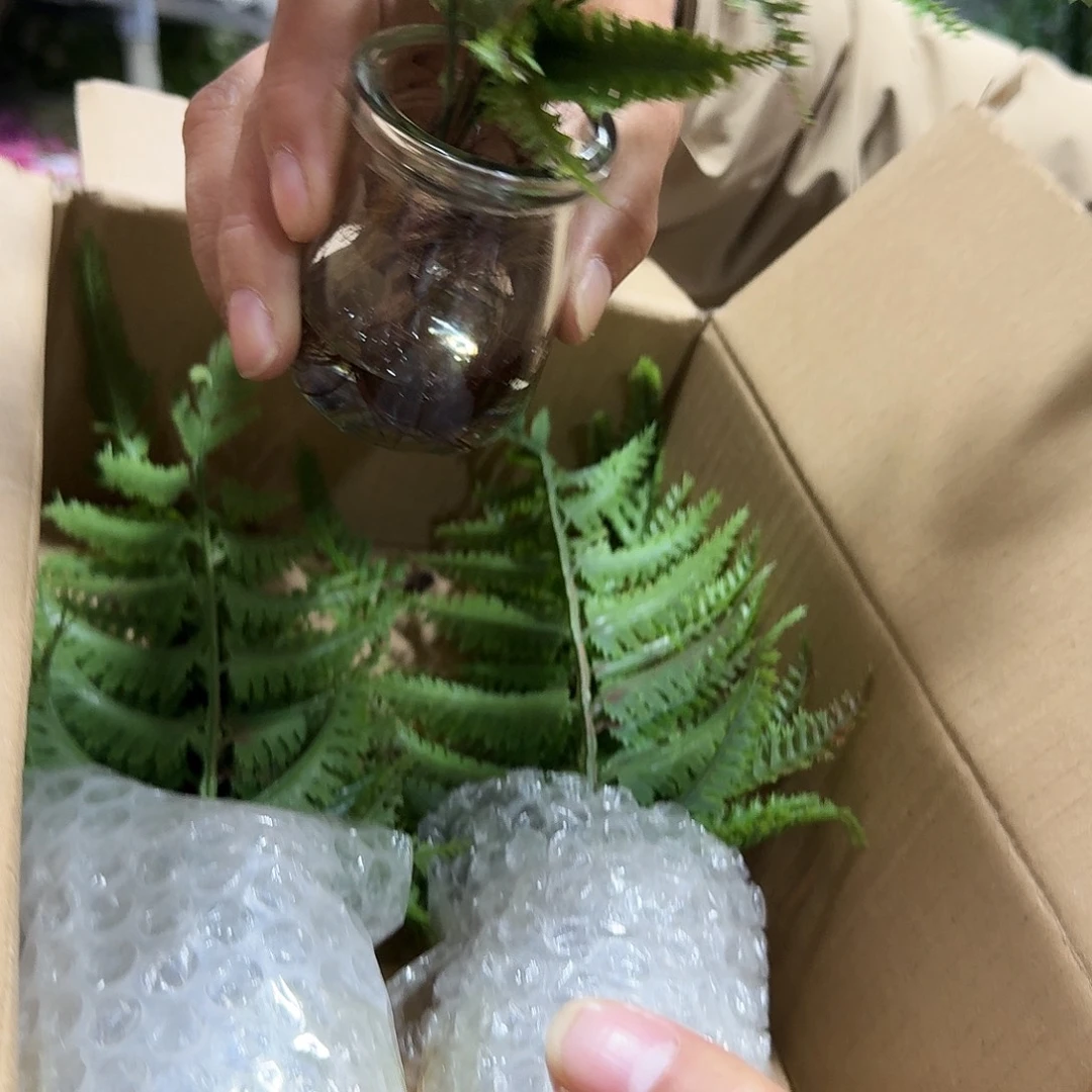 613号仿真绿植打包3盆