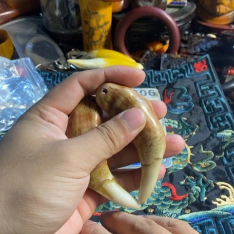 寻呼台等多家媒体报道过