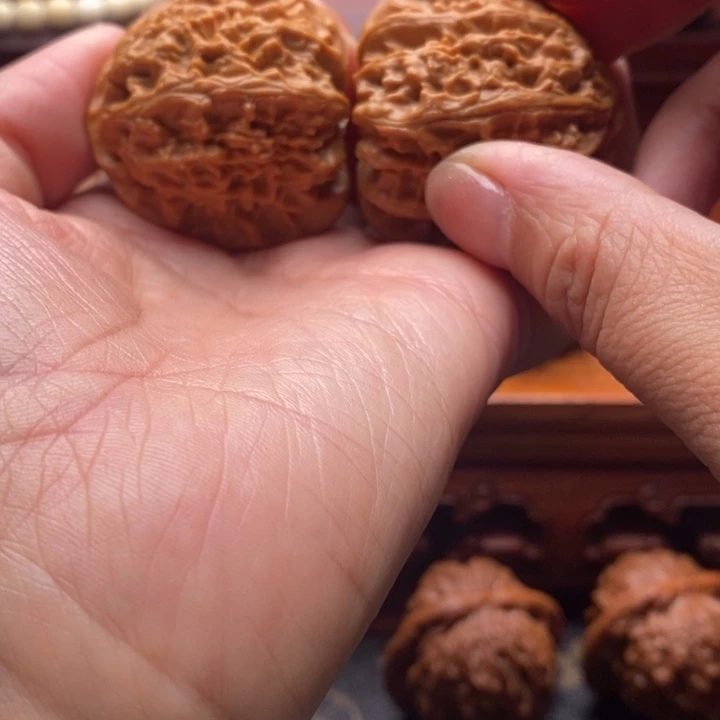 雷***爸文玩核桃把件白狮子