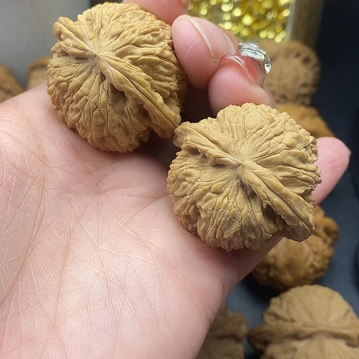 大叶紫檀（黑酸枝木类）白师子41