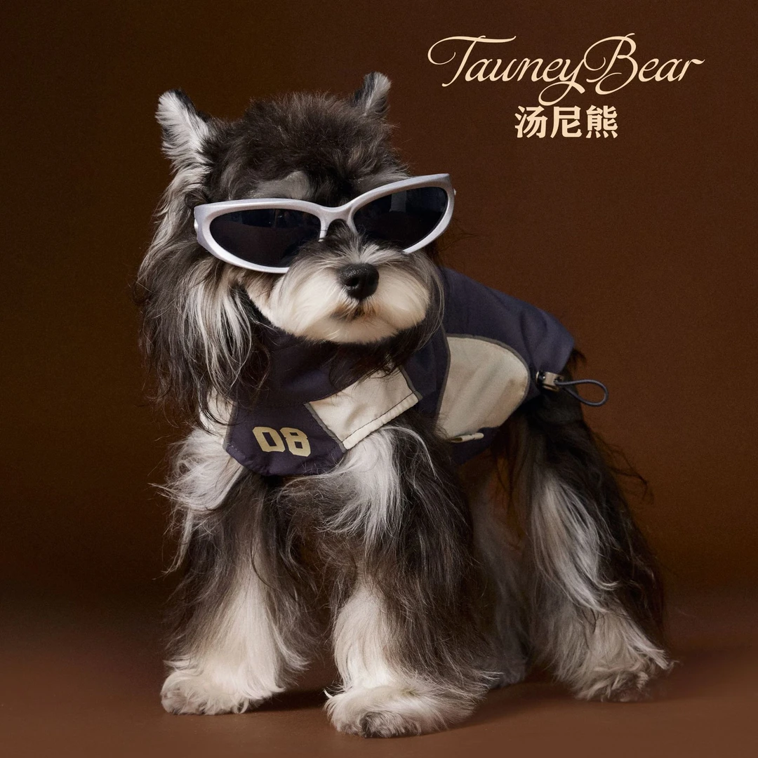 汤尼熊 狗狗衣服秋装雪纳瑞泰迪比熊约克夏薄款无袖背心运动服