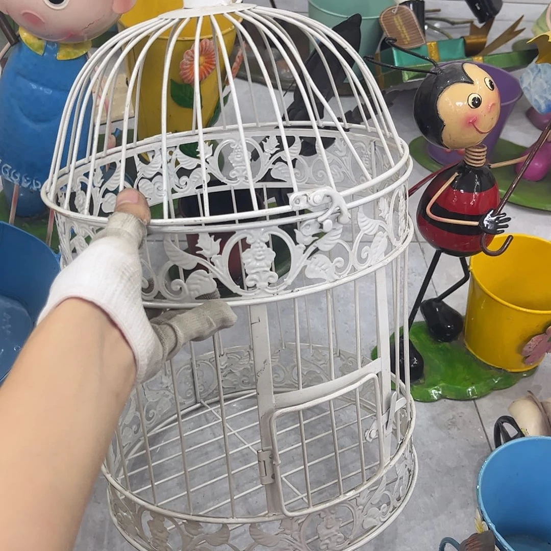 孤品哈哈哈哈给力