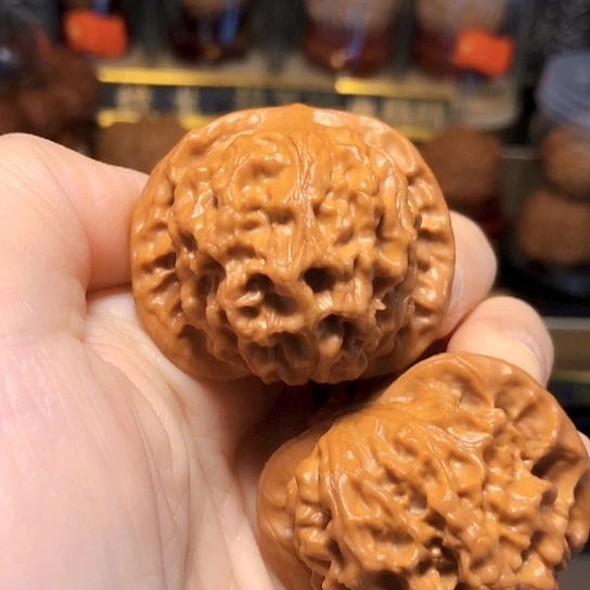 野生油蜡皮：闷尖狮子头