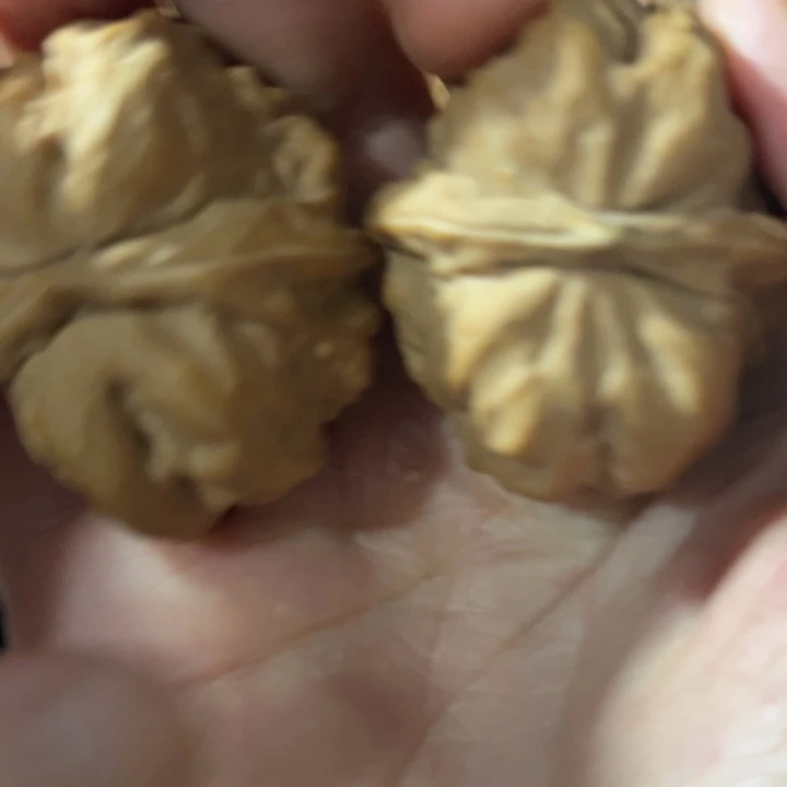 明***.文玩核桃蛤蟆头36