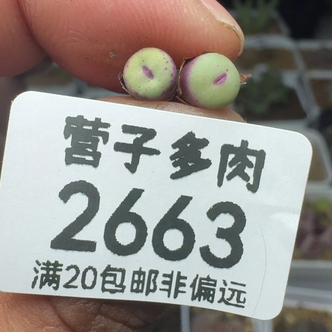 1380b两颗。