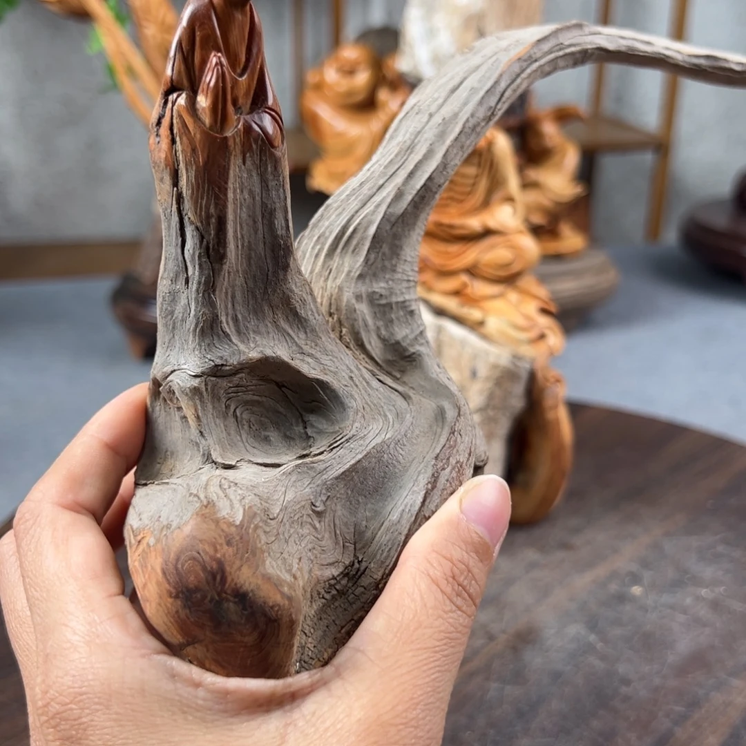 柏木（崖柏）崖柏太行山脉