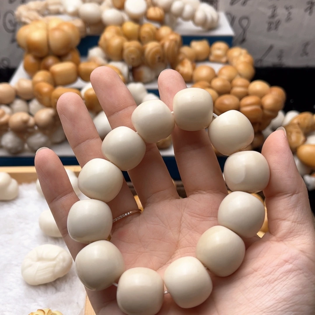 吊坠菩提根/象牙果