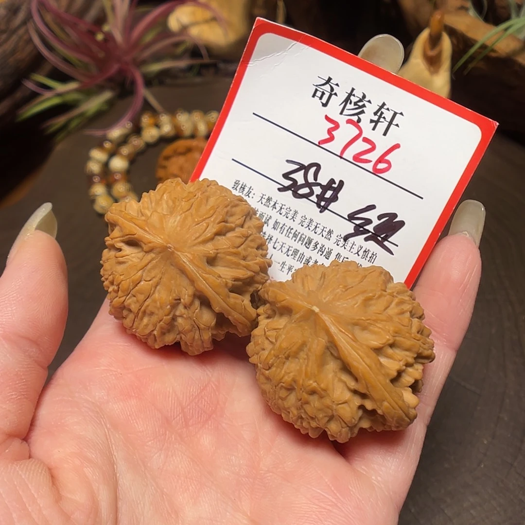 文玩核桃吊坠太行龙珠福利3726
