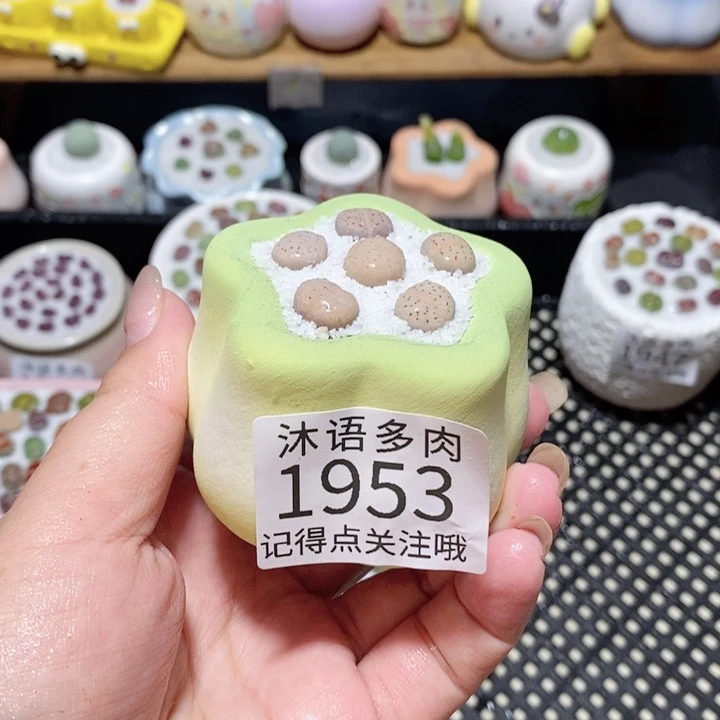 修***炼带盆土植物 一物一拍1953