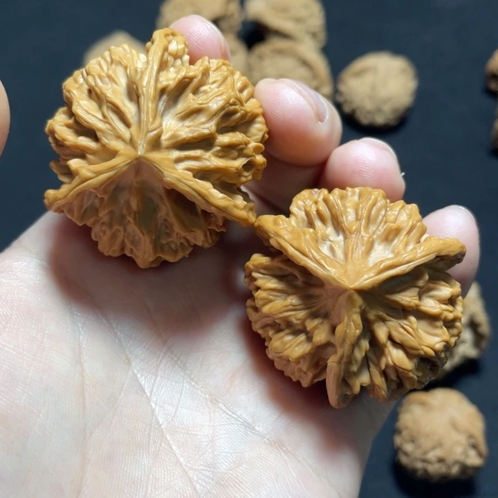 把件文玩核桃帝王三棱尖微磨42