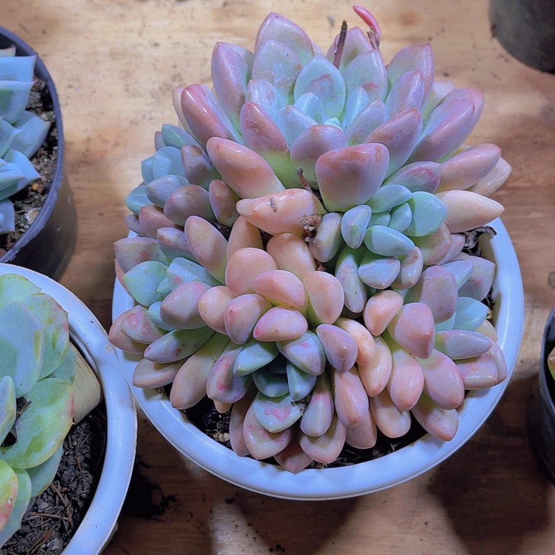 暖*0000000000000001