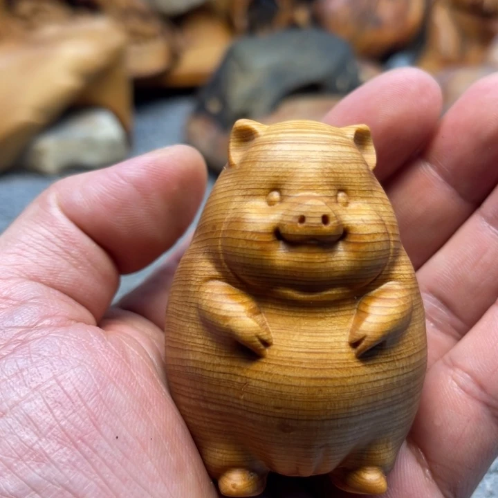 柏木（崖柏）崖柏62