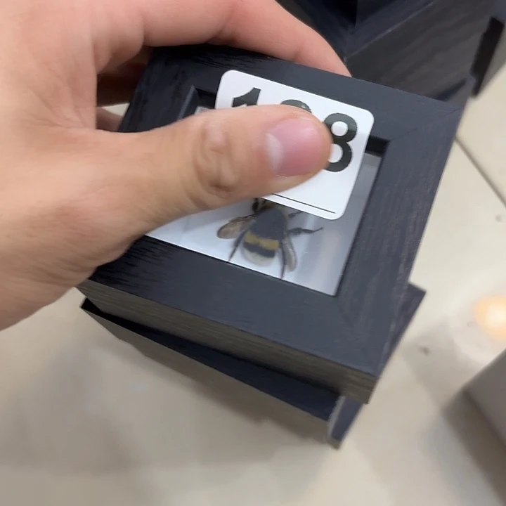 蝴蝶标本定制版128