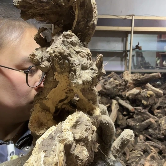 香榧木米*鼠火琉璃的毛料摆件