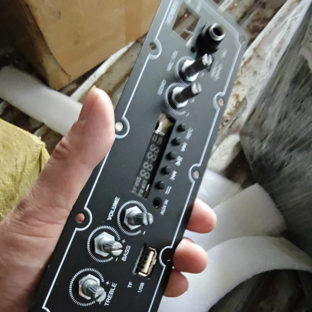 音箱主板主板一个，音箱主板一个的价格没有开关，没有配件。