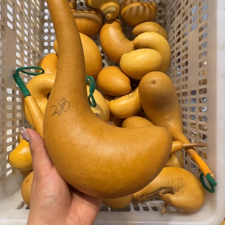 祈**•哈哈哈哈哈哈哈哈哈哈