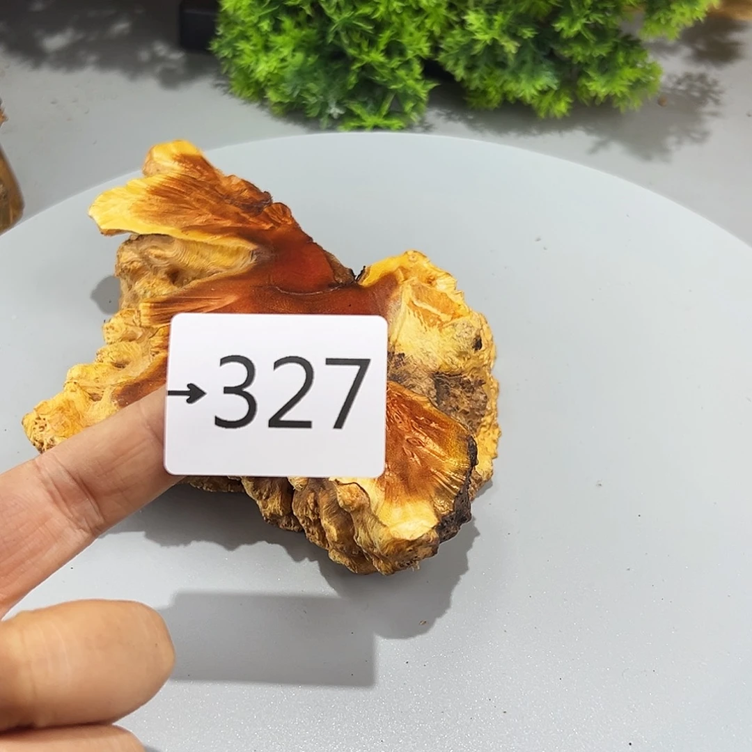 香榧木欣**叙火琉璃不平