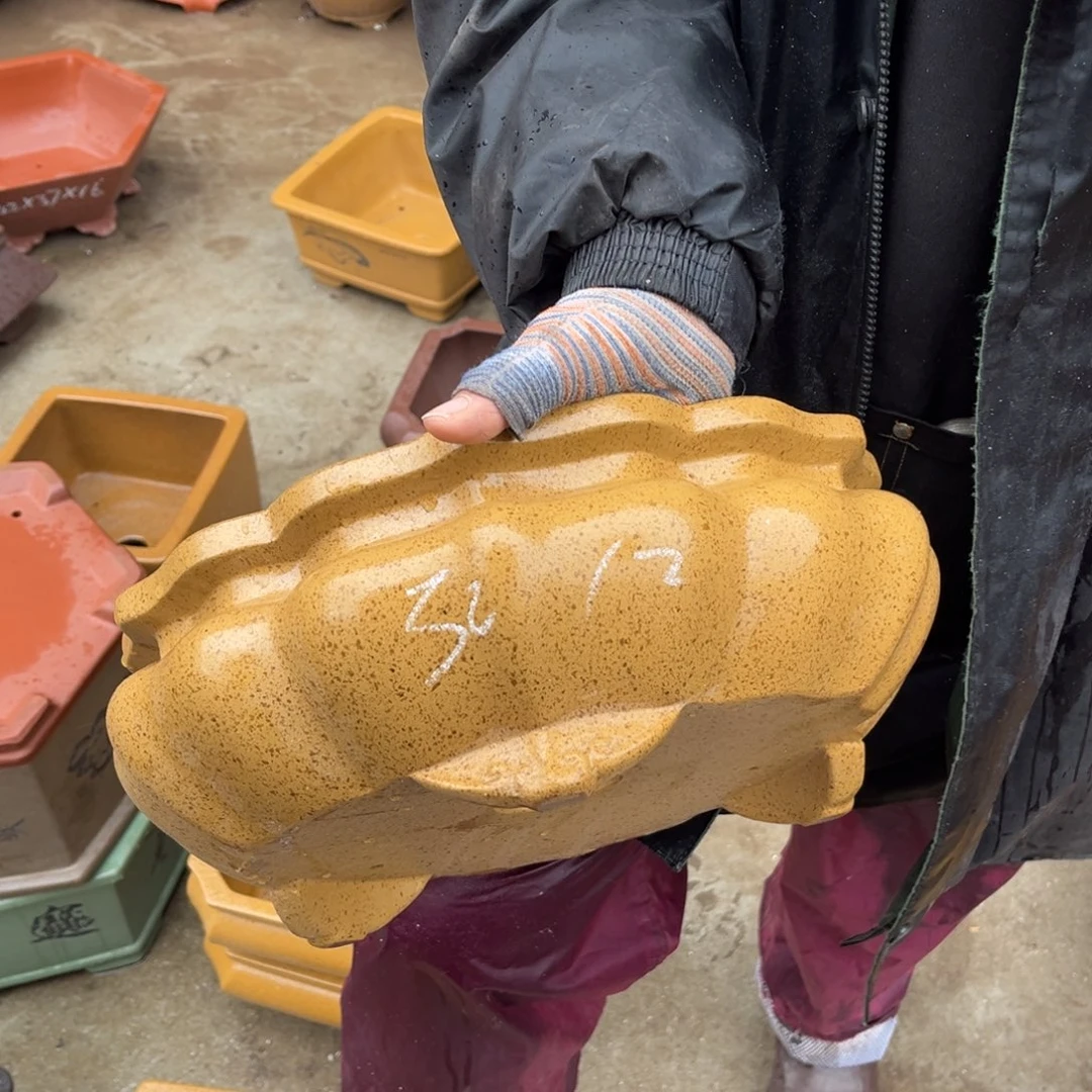 紫砂花盆盆景艺术