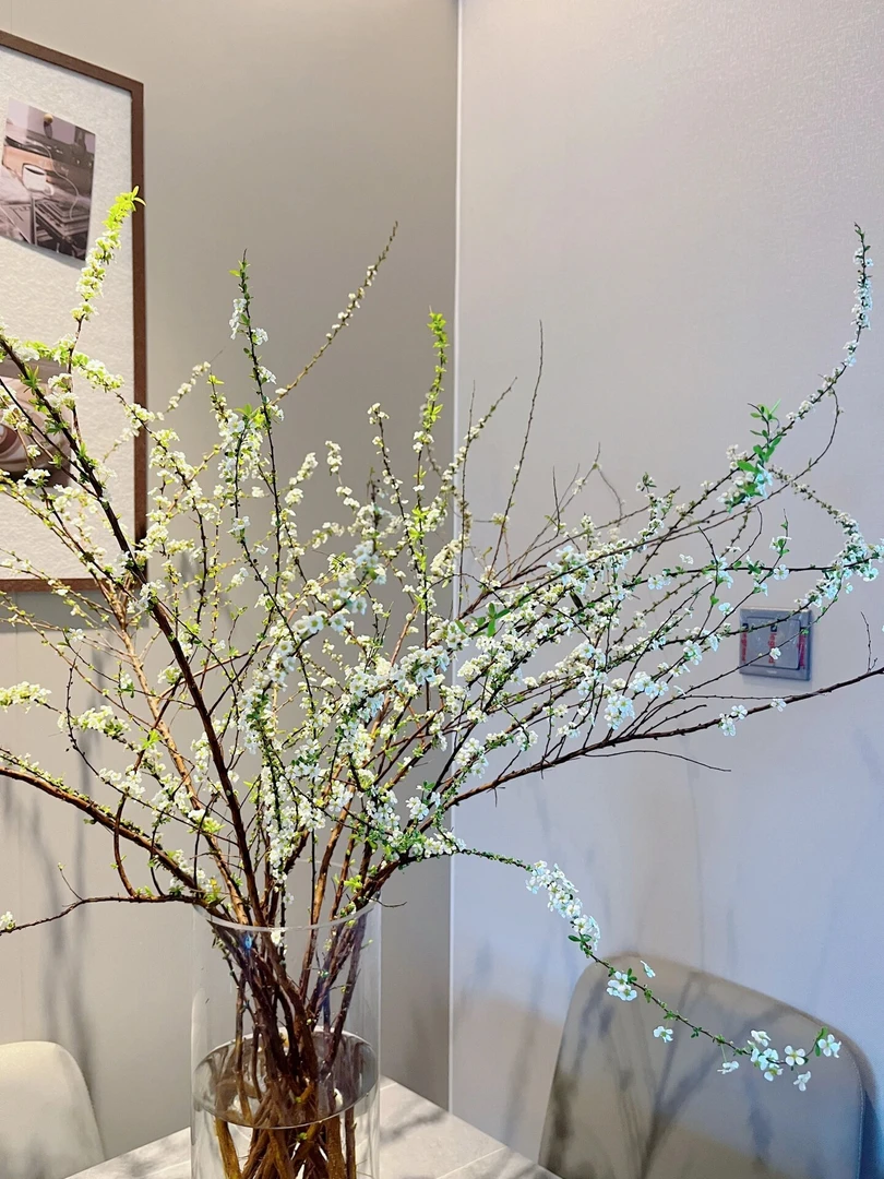 【向云端鲜花】雪柳-年宵花材