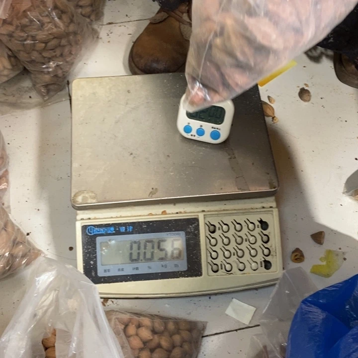 吊坠橄榄核豹***哥