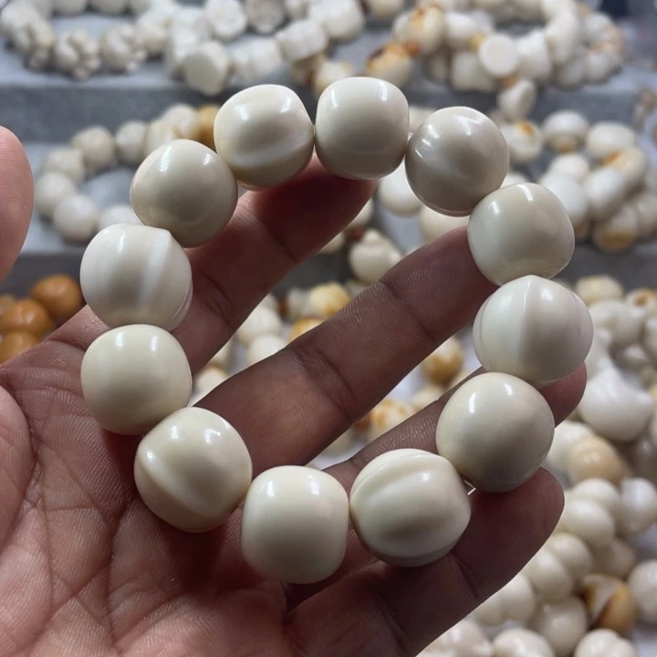 吊坠菩提根/象牙果微瑕象牙果鲨鱼背手串卡18