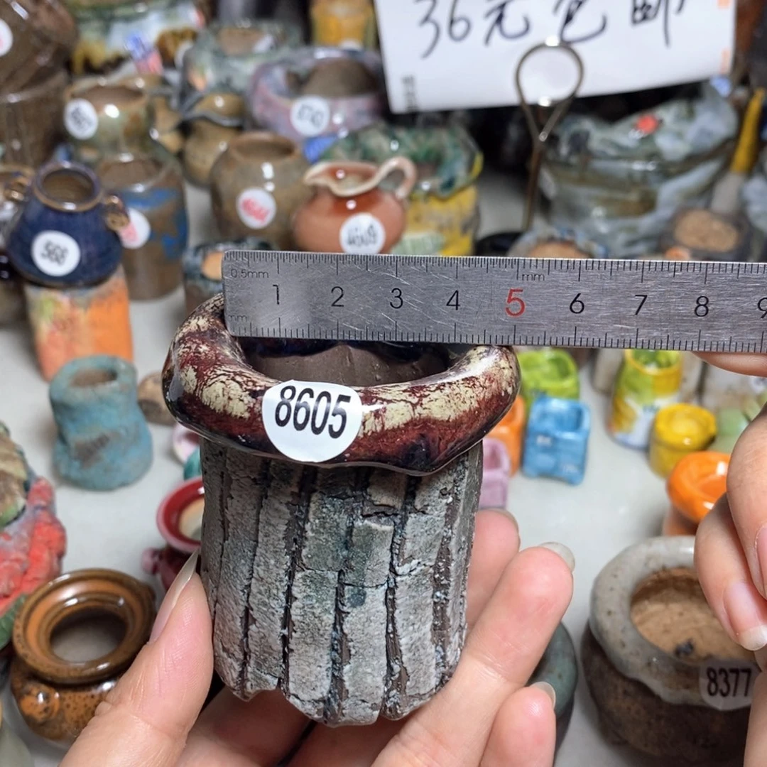 拍3送一个小礼物