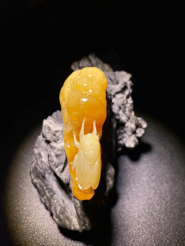 一鸣惊人 今非昔比