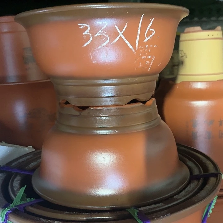 紫砂紫砂紫砂紫砂紫砂