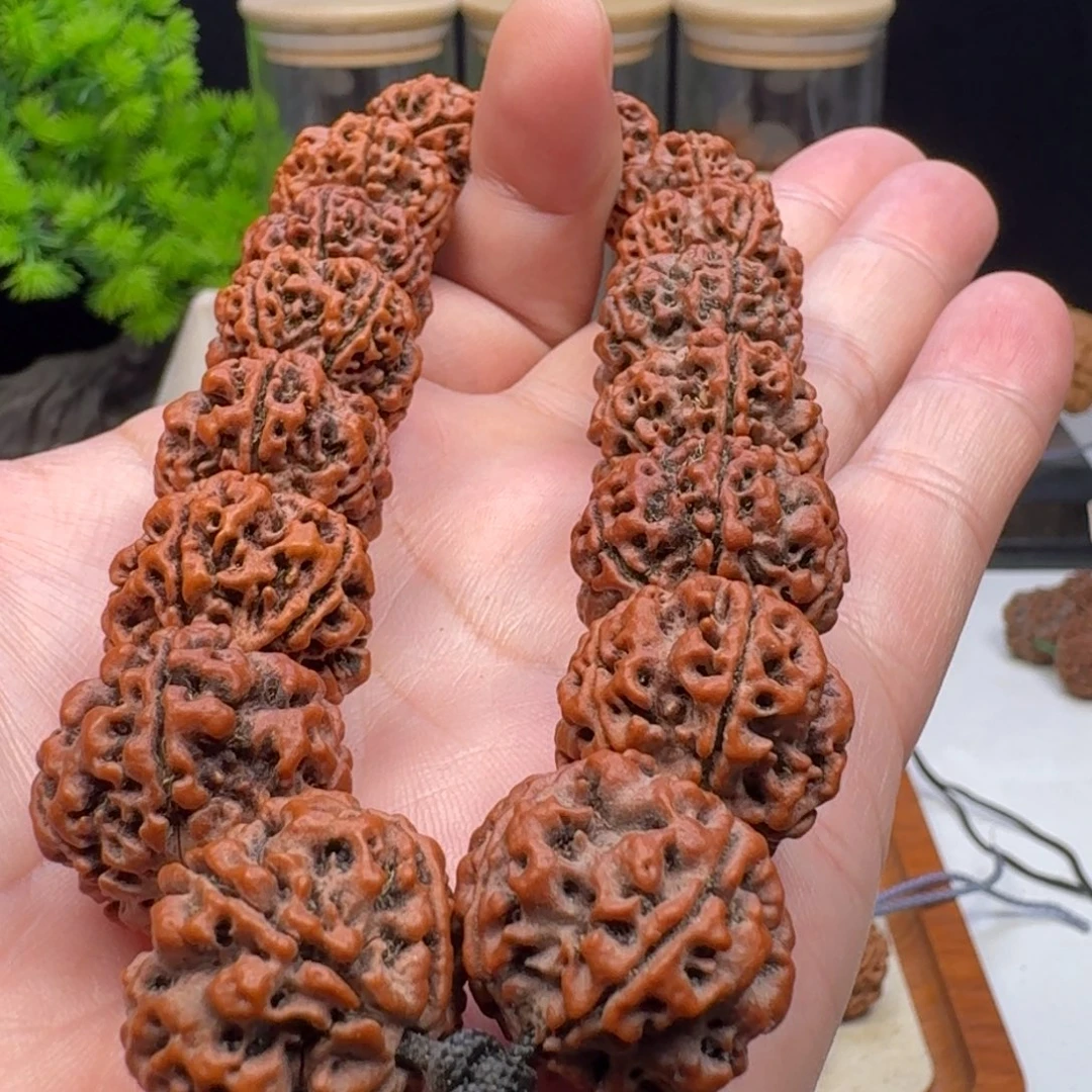 咩***？金刚菩提手串安娜老籽