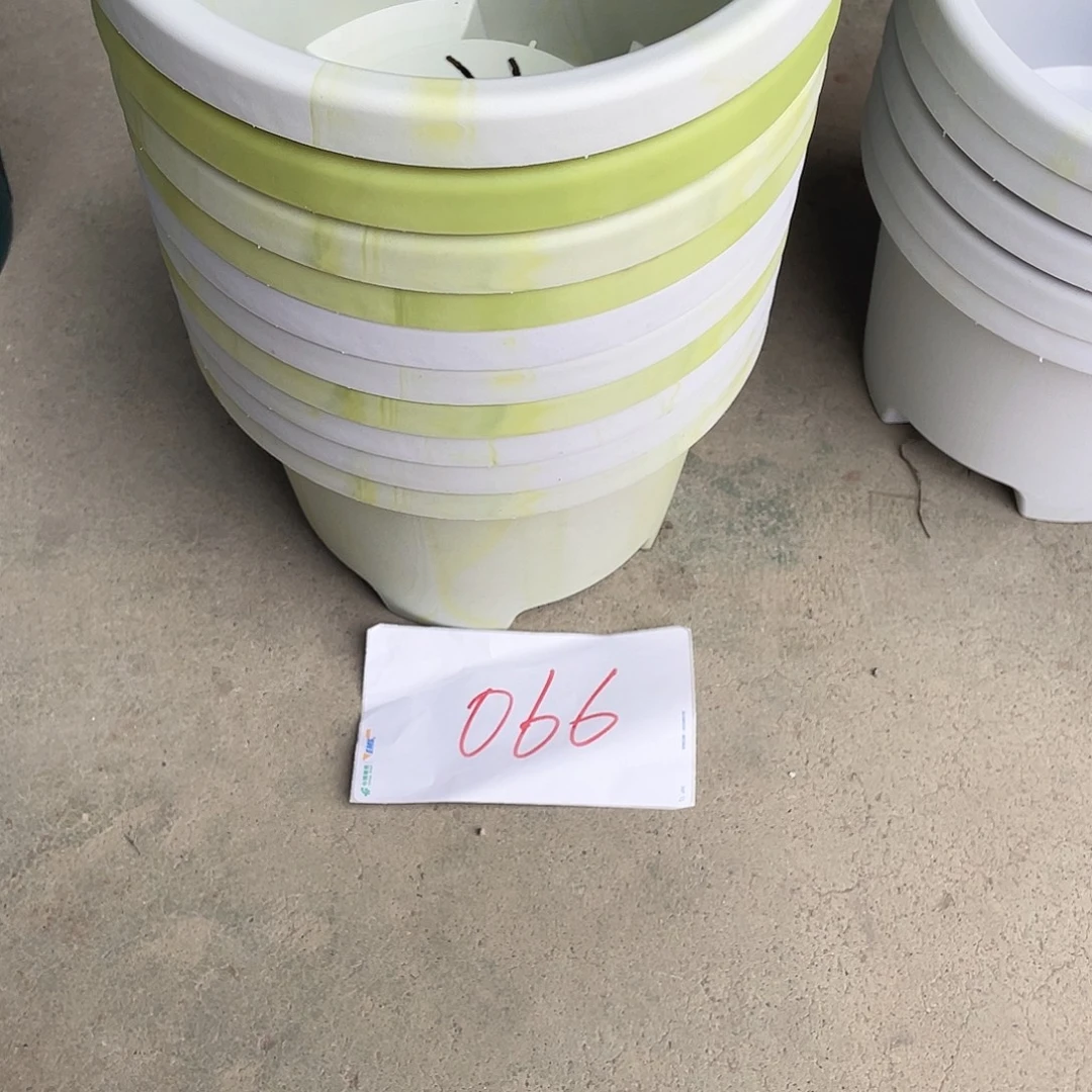 编号是066号的066号的