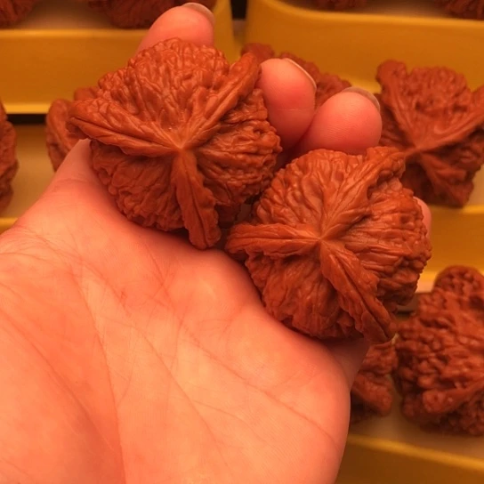 核桃核桃核桃核桃核桃