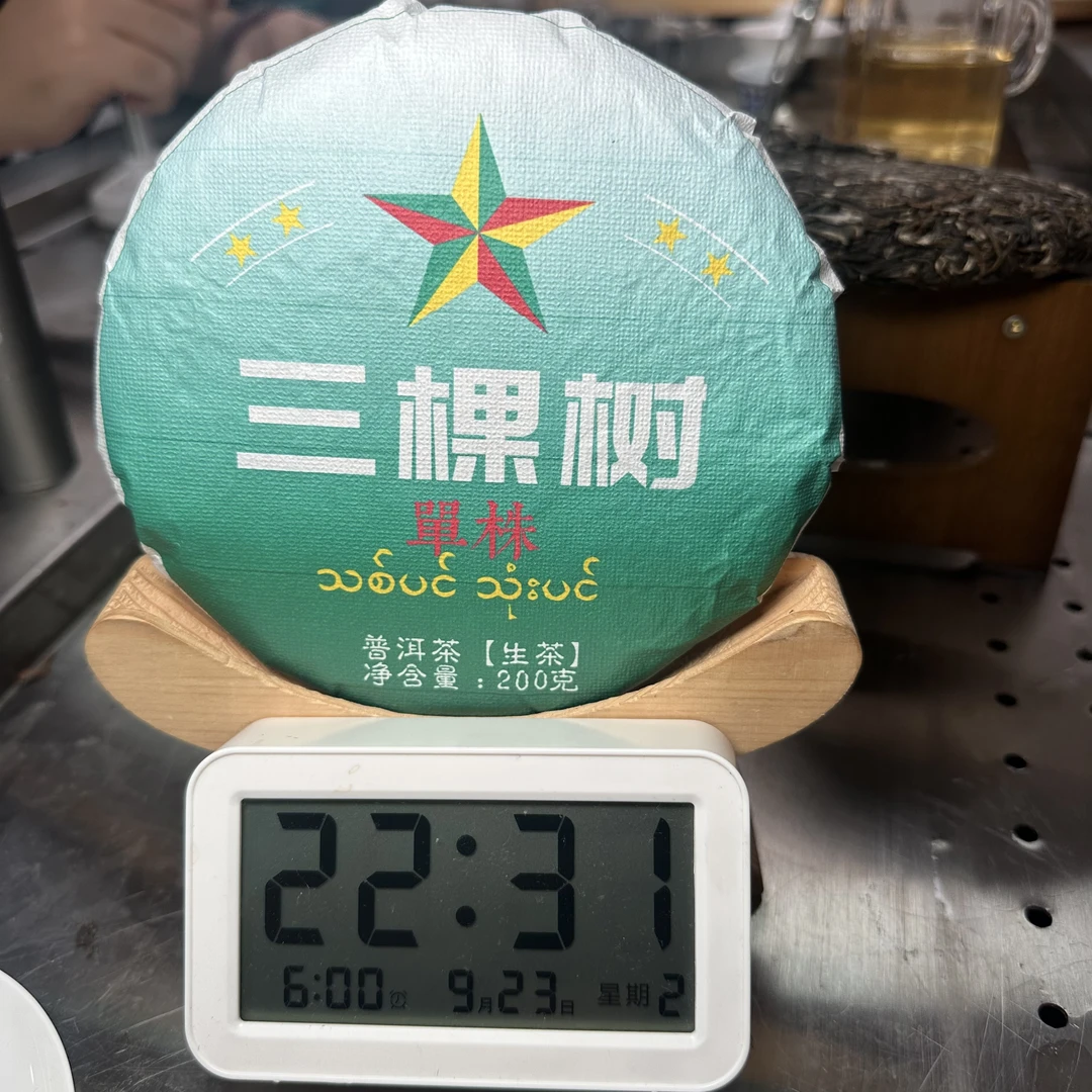 【888号】2025年缅甸三棵树单株生茶200g（9月23号）Z