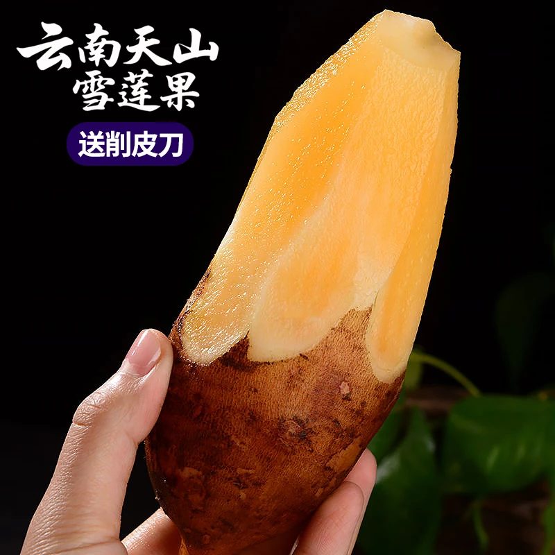 云南天山雪莲果现挖新鲜黄心水果清甜多汁脆爽可口