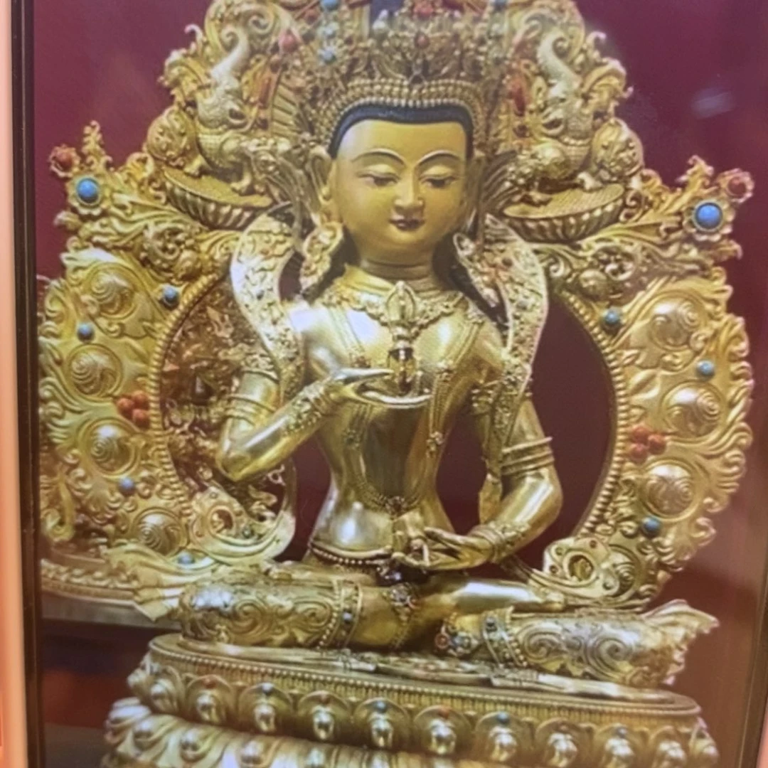 贝***'铜11111师兄1111111