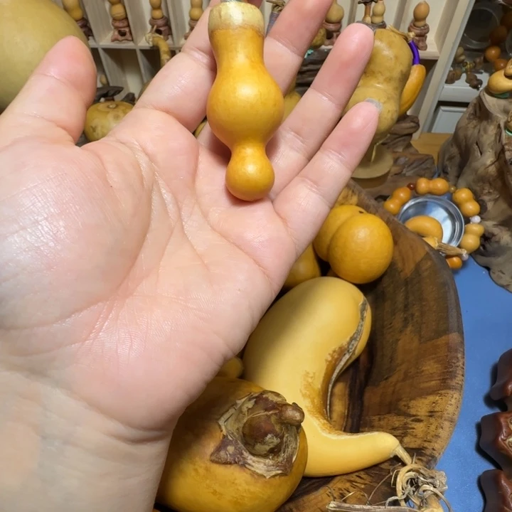 哼***厚皮粗嘴天然葫芦葫芦葫芦葫芦