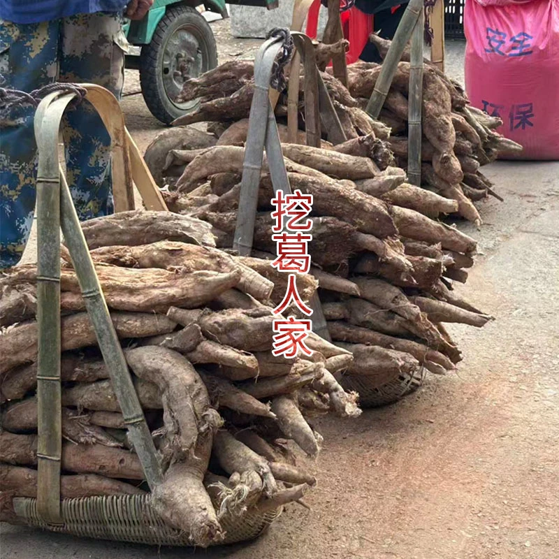 【新鲜野生葛根】5斤深山采挖天然 可自已做葛根粉切片煲汤新鲜葛根