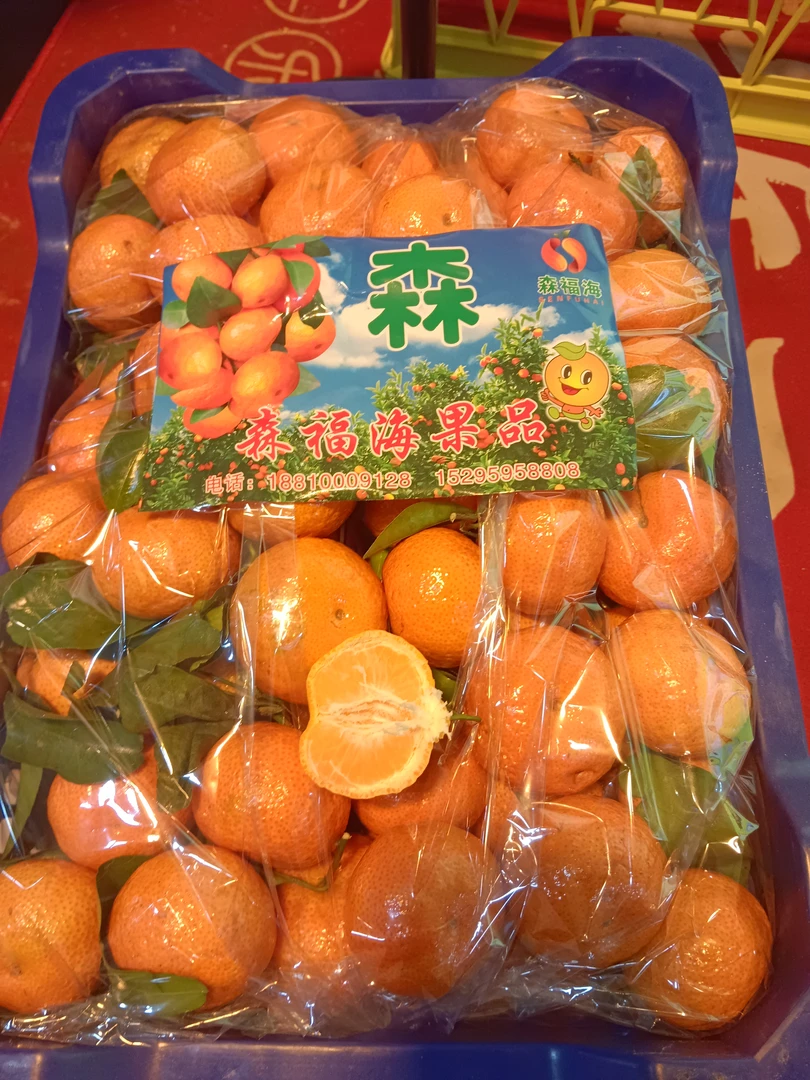 沙糖桔