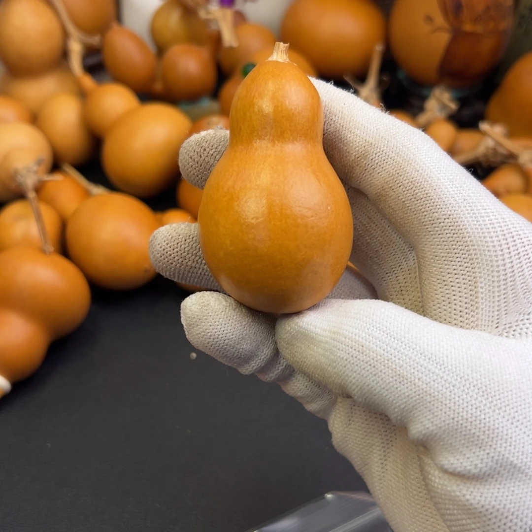 一****?葫芦葫芦葫芦葫芦