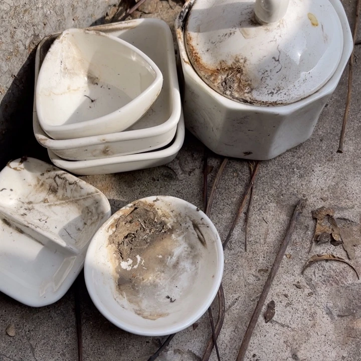 瓷其他炖盅碟子一堆包子