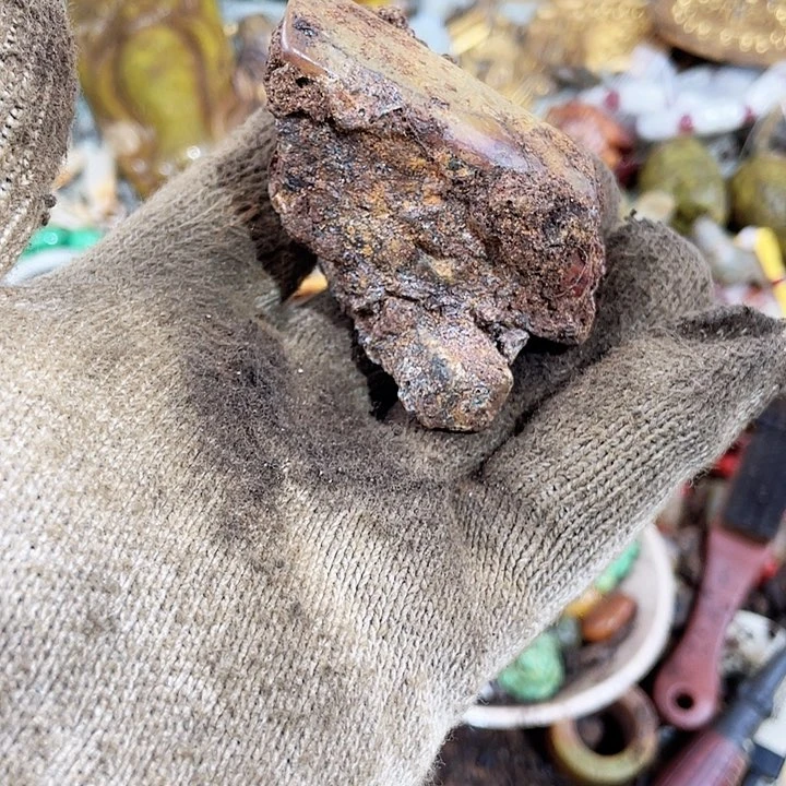 发财发财致富发财木*