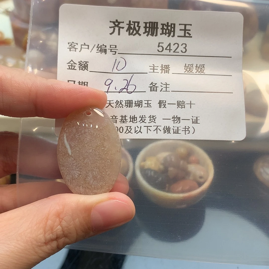 颈饰未镶嵌硅化珊瑚（珊瑚玉）?***?
